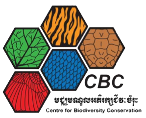 CBC Logo